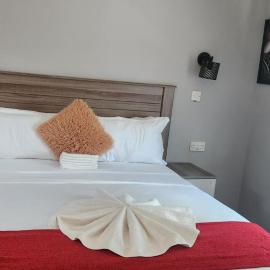 The Hornbill Lodge, hotell i Nata