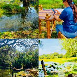Zensigiri Ayurveda Wellness Homestay, hotel i Sigiriya