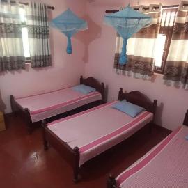 New Olina Gest and Restaurant, hotel in Wellawaya