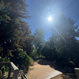Cabañas Allende Delta
