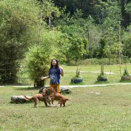 Wetland Homestay Coorg, Hotel in Virajpet