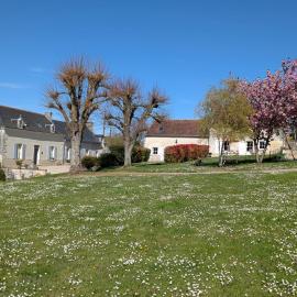 Gîte des Basses Rivières, Hotel in Huismes
