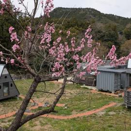 ichi, hotel i Ōkasho