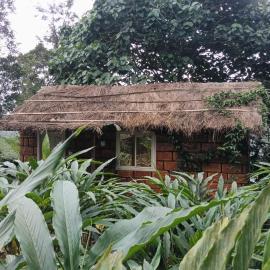 Leaf cardamom couple stay vagamon, Hotel in Vagamon