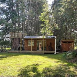 Secluded Redwood Cabin, hotel in Ashley Clinton