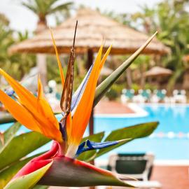 Baia Delle Palme Beach
