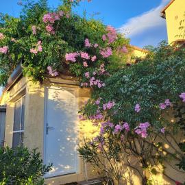 Studio_en_Roussillon