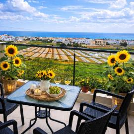 Cyprus Sunflower, hotel di Paralimni
