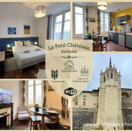 T2 Amboise avec vue sur le Château Royal