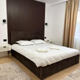 보르샤에 위치한 호텔 Borșa ApartHotel 5