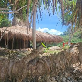 Uma Lili Resort Sumba:  bir otel
