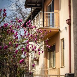 Magnolia Apartments, hotel in Gevgelija