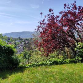 Unter dem Blauregen, hotelli kohteessa Therwil