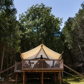 Whispering Springs Wilderness Retreat, hotel en Grafton