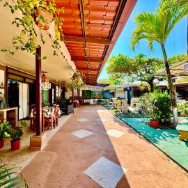 Villas Ela en Bahía Ballena Uvita hermosas habitaciones privadas grandes, cerca de playa con piscina,cocina,jacuzzi,aire acondicionado,tv, baño privado,parqueo gratis y terraza