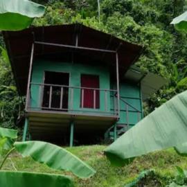 Rioverde Jungle Ecolodge