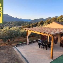"A Casa di l’Alivi" – T3 Oliveraie | by Efficios, hotel in Casabianca