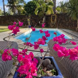 Studio tout confort avec piscine pour les amoureux des toutous, hotel in Roches Noires