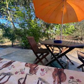 The Cottage Guest House