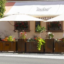 La Couronne à Wissembourg, hotel u gradu Visambur