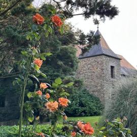 Gîtes de france® le mémartin