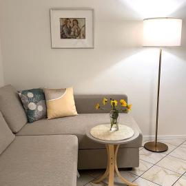 Spacious, renovated apartment in the centre