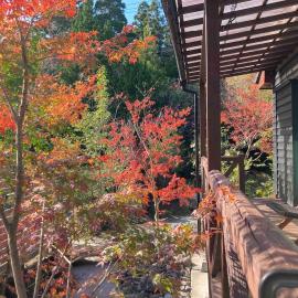 貸切温泉宿 田舎の宿 か家 ひかり邸, hotel i Kirishima