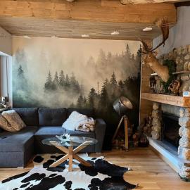 A dream in the mountains