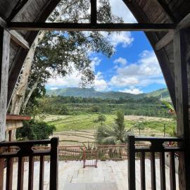 Rice Field and Mountain View House