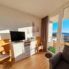 Studio Martina mit Pool und Sauna, hotel Freyungban