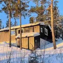 Amazing Home In Bø I Telemark With Sauna