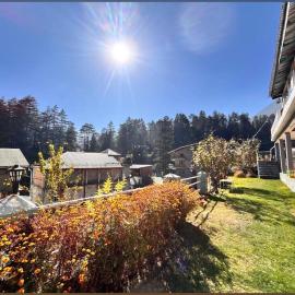 Green forest BnB and cafe