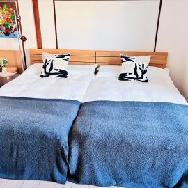 蓮子川Room, hotel v destinaci Hamamacu