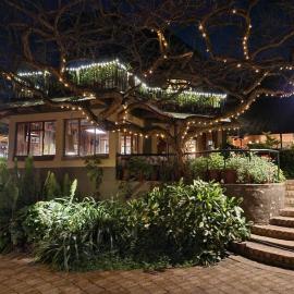 Ascot Bush Lodge & Spa