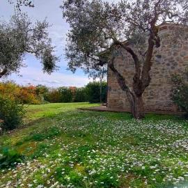 Casa in campagna nel Chianti colline senesi, hotel v destinaci Lucciana