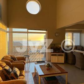 Dolphin View 32