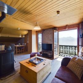 Appartement style chalet, 1 chambre, Torgon, Alpes Suisses, hotel in Vionnaz