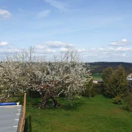 EG-Wohnung im schönen Westerwald