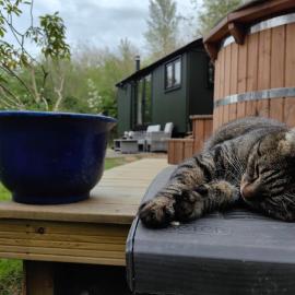 Bell Nook- Shepherd's hut with a spacious wood-fired hot tub, hotel u gradu Tonbridž