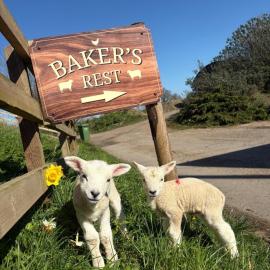 Bakers Rest, a farmhouse escape