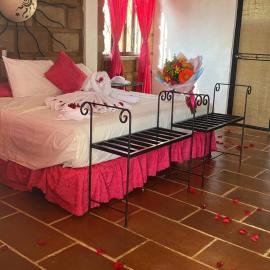 Wellness Pet Friendly El Secreto