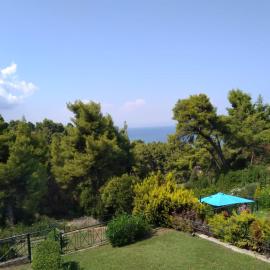 Serene Villa