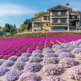 Eshin no Sato Yasuragisou, hotel di Joetsu