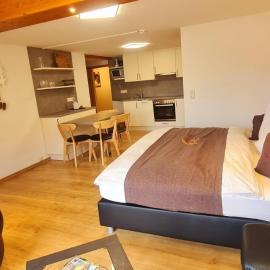 Gästehaus Holzer Kreuz - Ferienwohnung "Narzisse", hotel i Fröhnd
