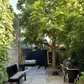 Boutique Home
