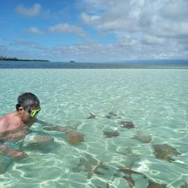 Discovery Gunayar, hotel v destinaci Waisalatupo