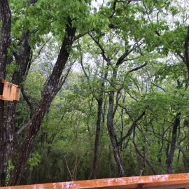Sauna Camp Lodge Forest Sounds - Vacation STAY 69407v, hotel din Fuda