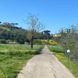 La camera nel verde