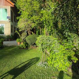 The Chinar Studio