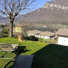 Villa Rosaria, family and pet friendly